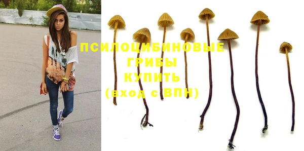 мяу мяу мука Новодвинск
