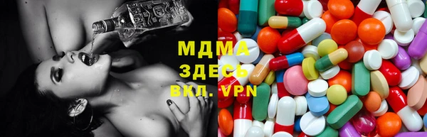 прущие грибы Няндома