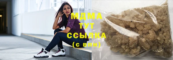 прущие грибы Няндома