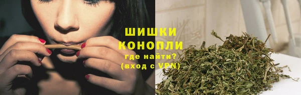 мдпв Кодинск
