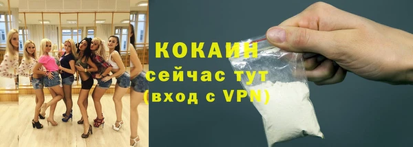 прущие грибы Няндома