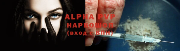 прущие грибы Няндома