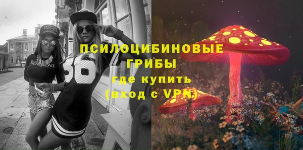 прущие грибы Няндома