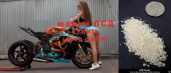 прущие грибы Няндома