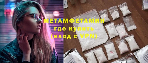 прущие грибы Няндома