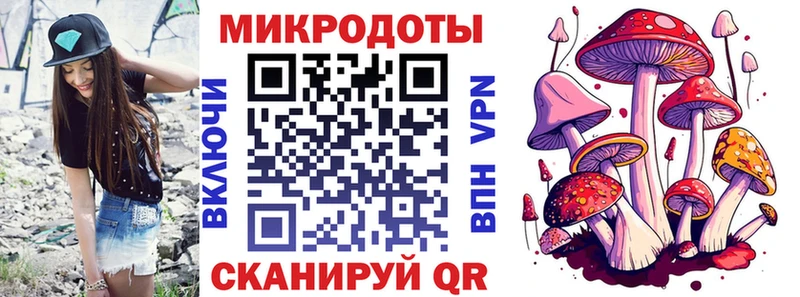KRAKEN   Агидель  Псилоцибиновые грибы мицелий 